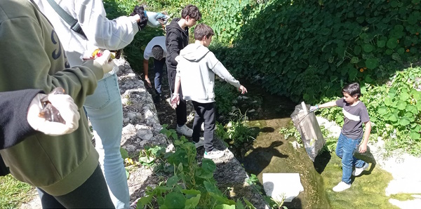 8.º ano recolheu lixo no Parque de Santa Sofia