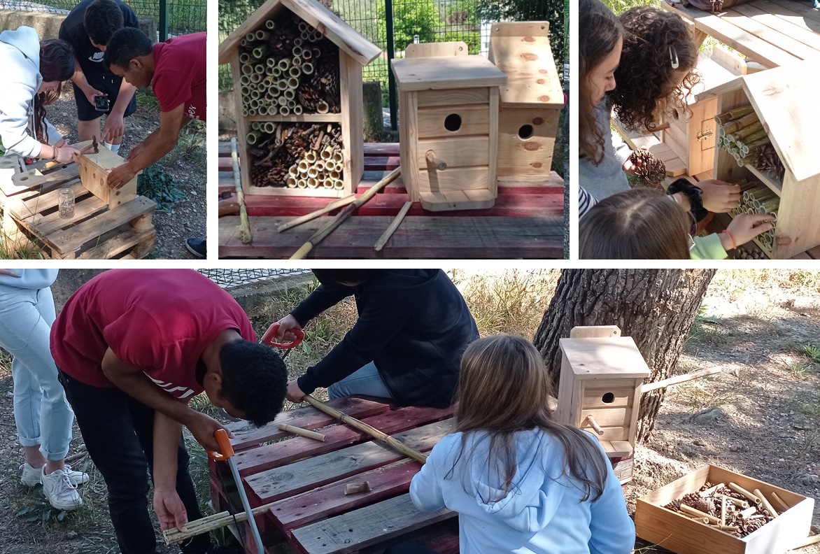 Construção de abrigos para aves e insetos